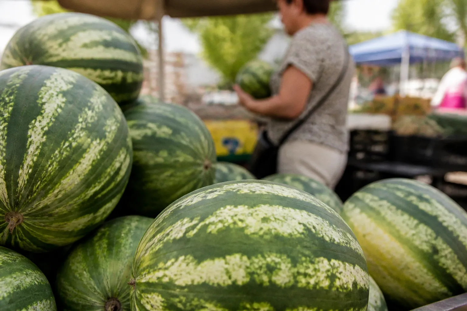 Какие продукты на летнем рынке могут стать источником пищевого отравления